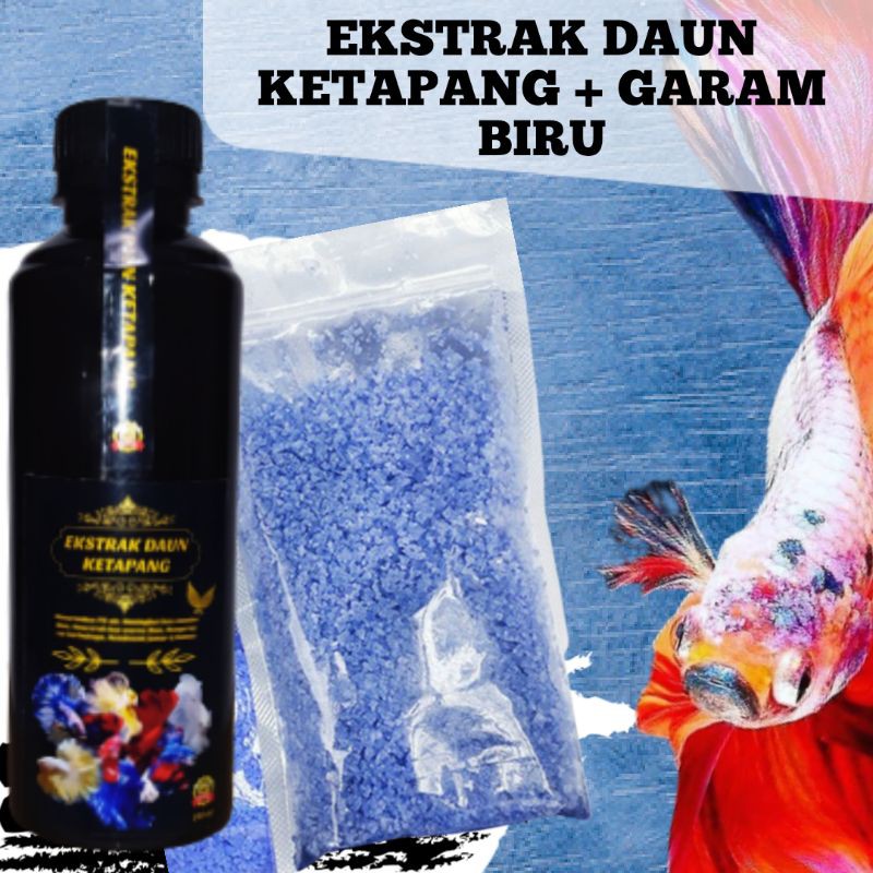 

PAKET ekstrak daun ketapang + garam biru ikan