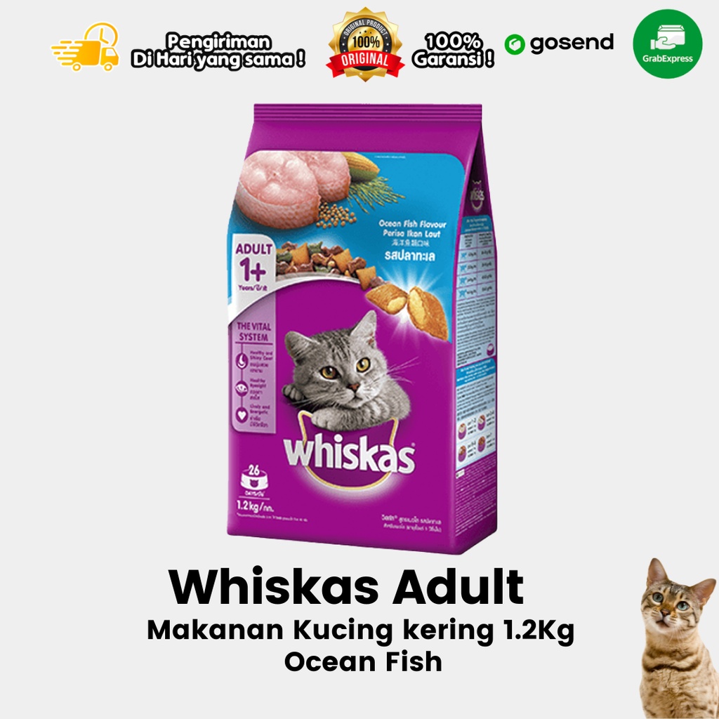 Makanan Kucing Kering Dry Food Whiskas Adult 1.2Kg plus Vitamin