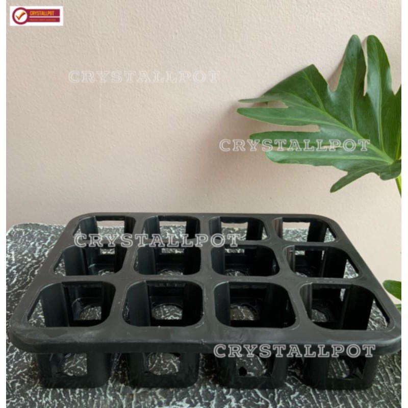 Tray pot nkt kotak 5cm (tanpa pot) | nkt kotak 5cm | tray semai bibit