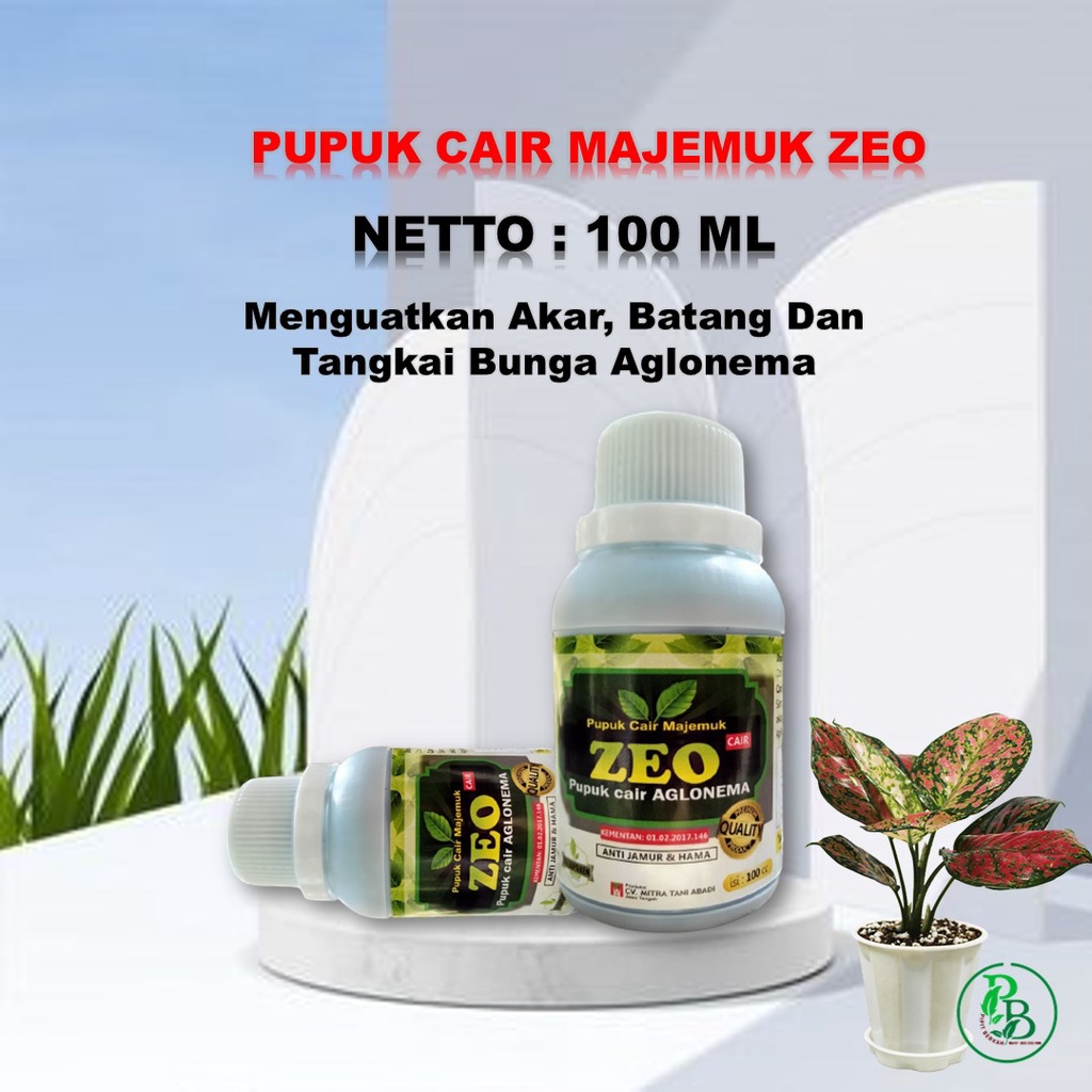 pupuk aglonema tanaman unik, pupuk aglonema yang bagus, bio aglonema, pupuk tanaman hias yang cantik