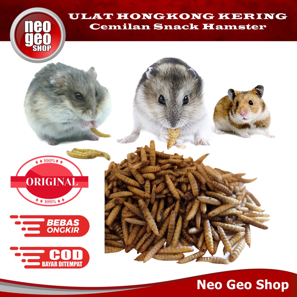 Ulat Ulet Hongkong Dried Mealworm Snack Cemilan Makanan Hamster Sugar Glider Burung Landak Mini