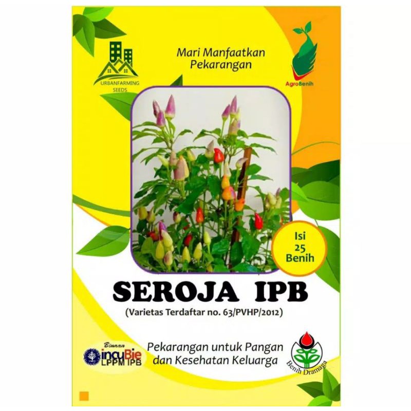 Benih Cabai Hias IPB Seroja