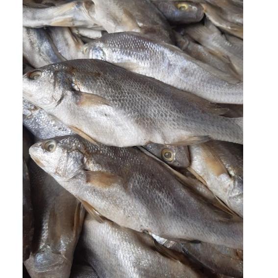 

[PROMO QRH70] Ikan Asin Sileman 500 gr Ready stock