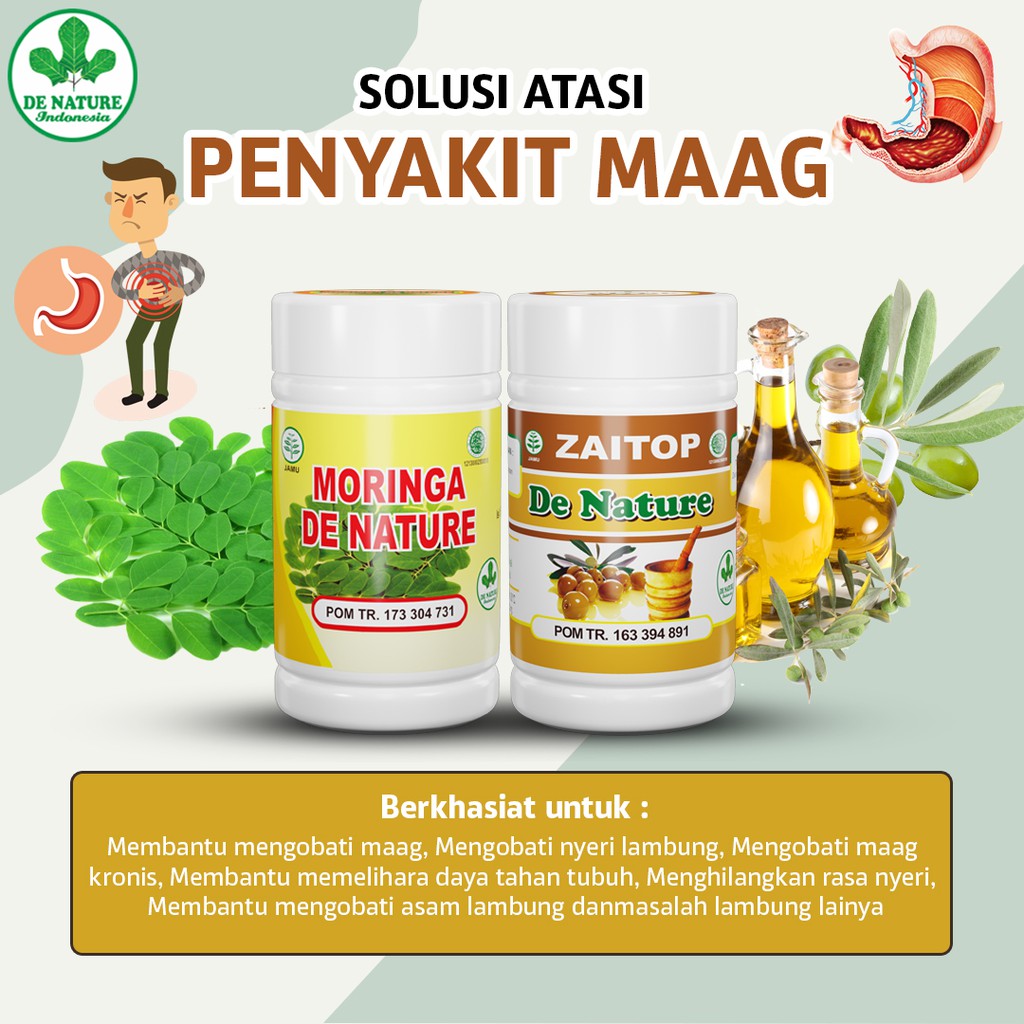 

OBAT HERBAL SAKIT MAAG/ MAG/ MAGH - GERD/ ASAM LAMBUNG - EKSTRAK DAUN KELOR MORINGA ZAITOP DE NATURE