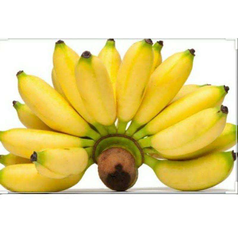 

AREA MEDAN | Pisang Mas 1 Sisir