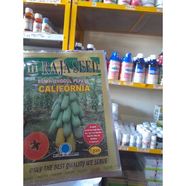 RAJA SEED BENIH UNGGUL PEPAYA CALIFORNIA