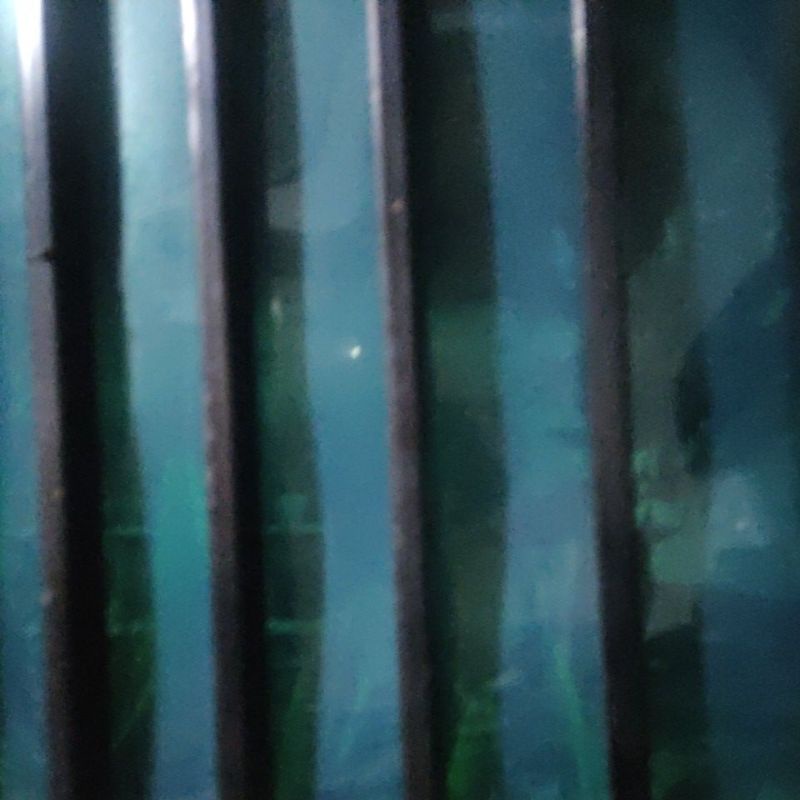 Kucay PNP New CB150R