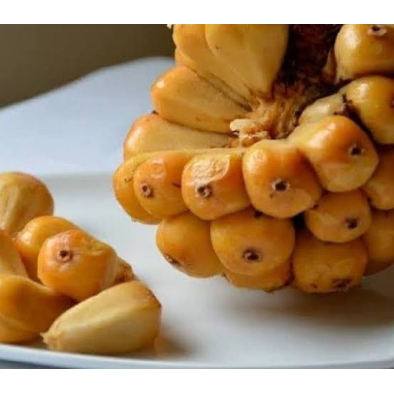 

kecombrang / asam cekala / patikala 1kg