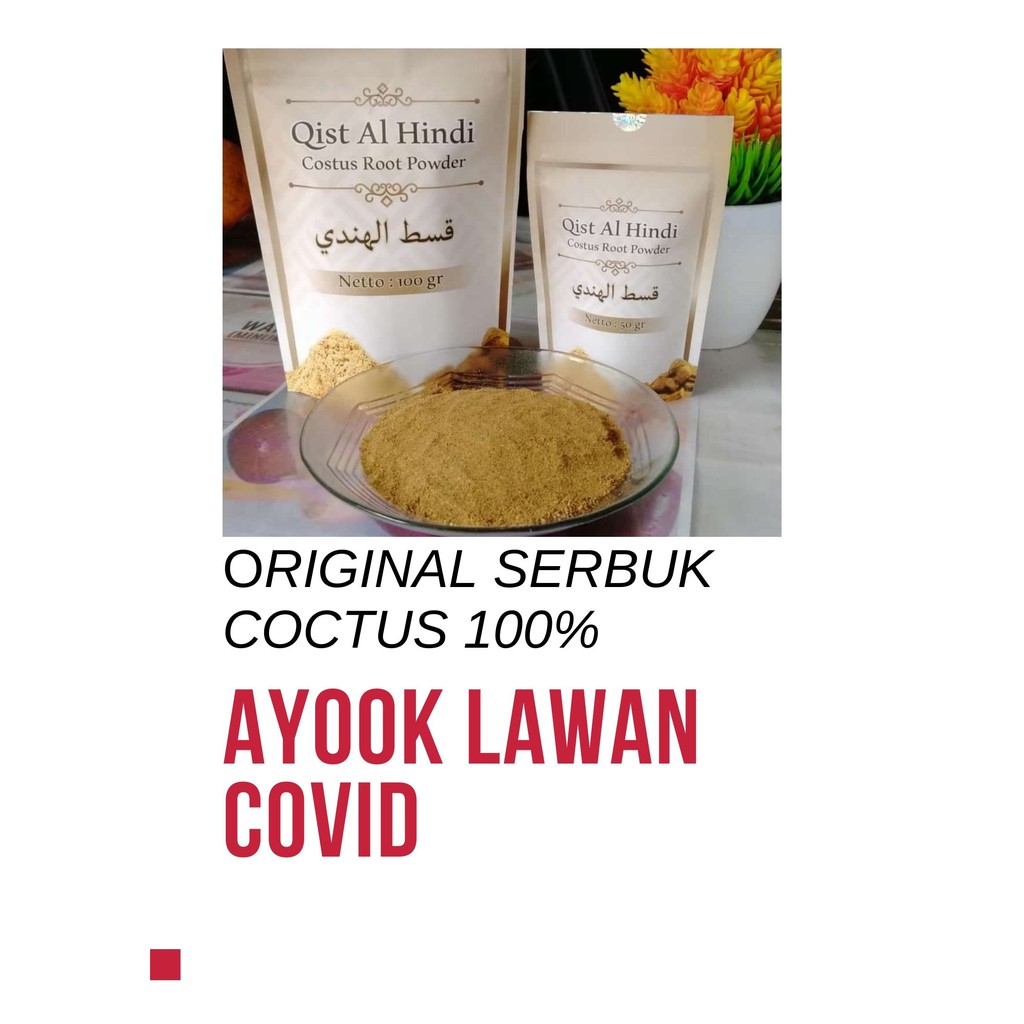 Qusthul Hindi / Qist alhindi / Qisthul Hindi/ Quts Al Hindi  /Kayu India Original