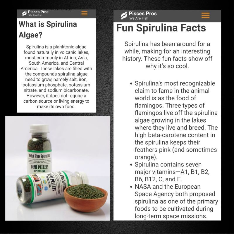 Paket isi Demi Pelet Spirulina, Flash Mutation, Ketapang Olahan