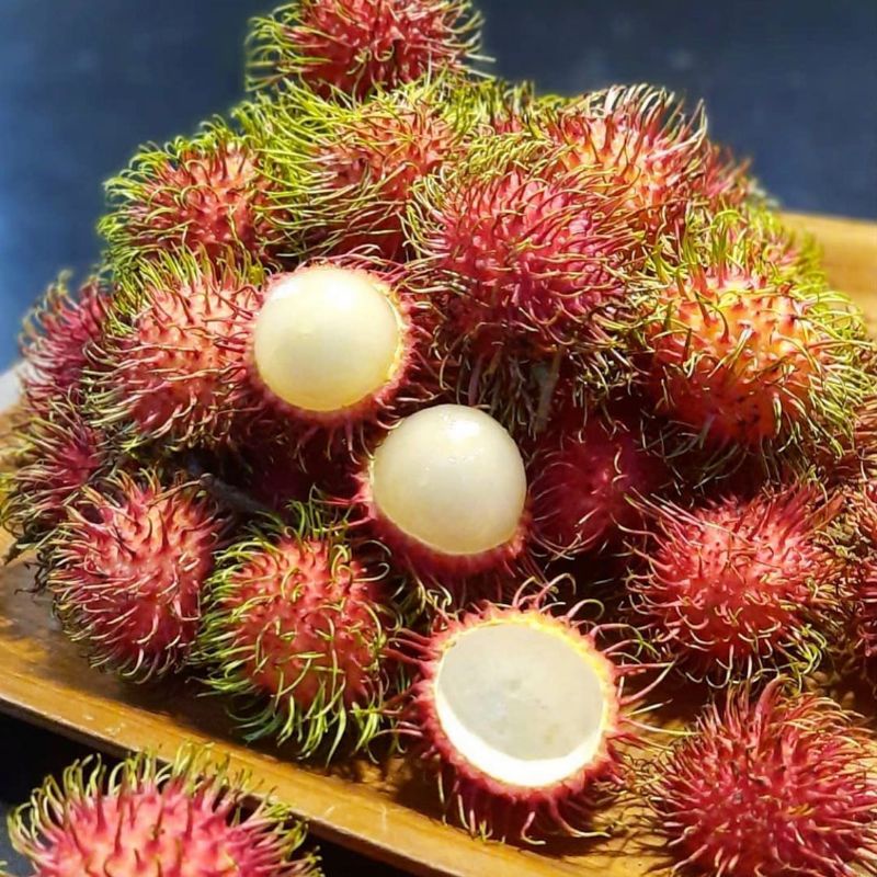 Bibit rambutan rapiah super