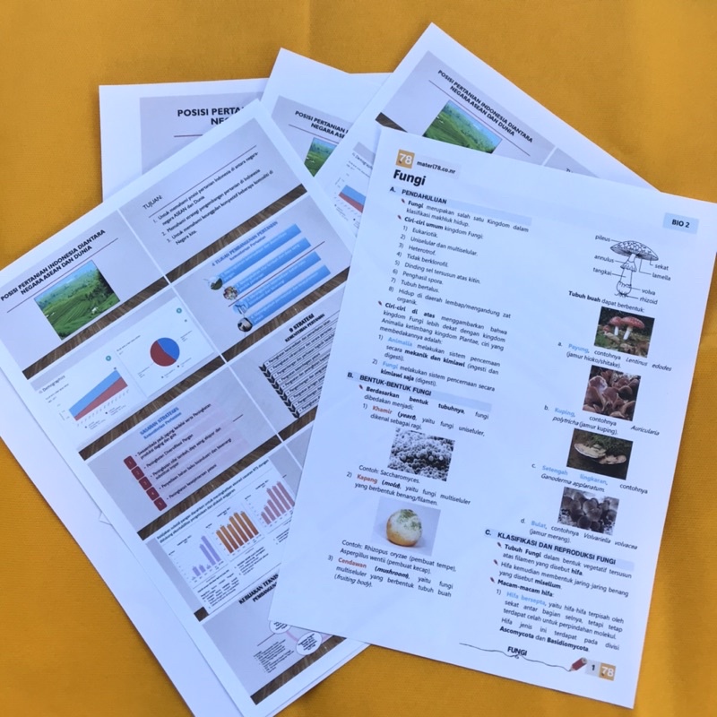 

Jasa Print kertas HVS A4