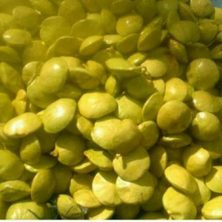 

BIG PROMO jengkol muda lalap 1kg 3486 ヨ