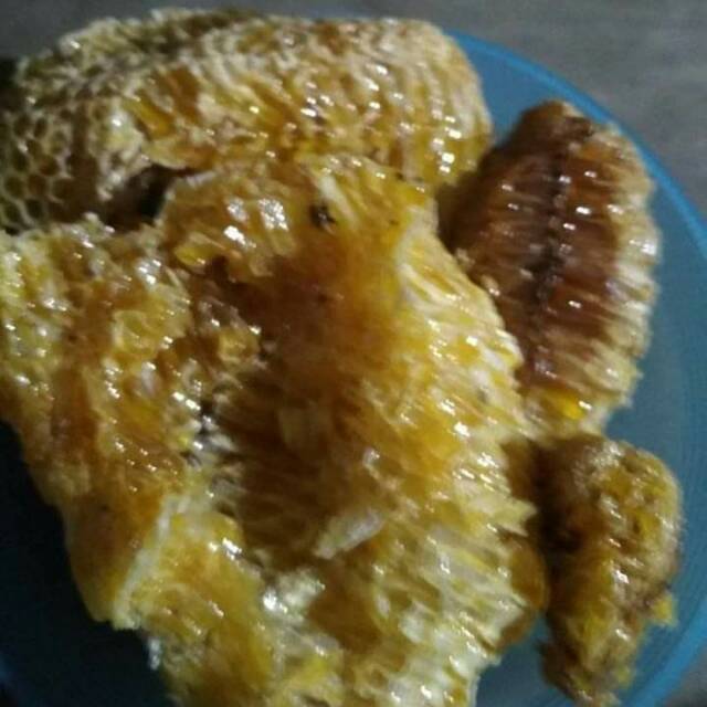 

madu hutan asli100%murni.