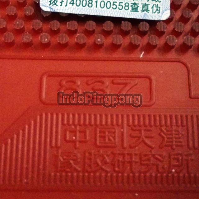 729 837 OX - Long Pips Bintik Bertahan Panjang RITC Friendship