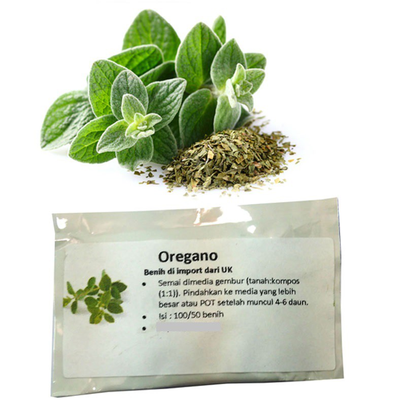 BENIH OREGANO