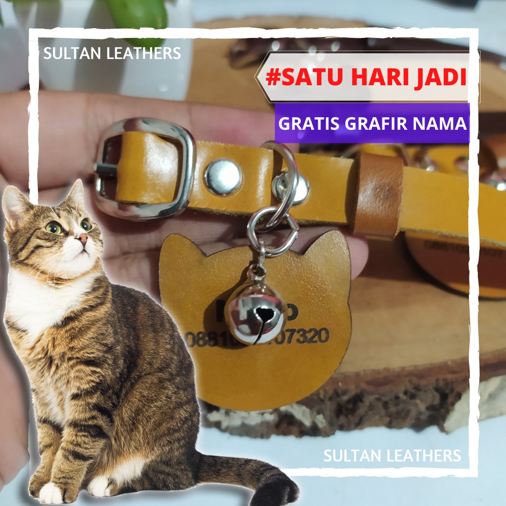 Kalung Kucing Liontin Anti Kutu dan Iritasi Gratis Nama / Kalung Kucing Nama Permanen Kulit Asli