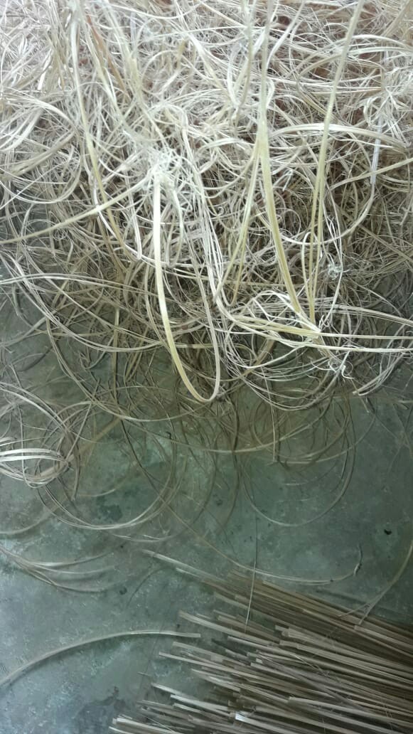 Hanger Under Wear (12pcs)