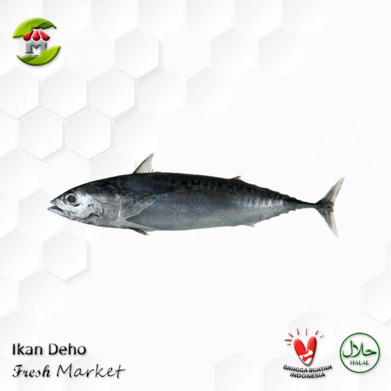 Ikan Deho Tongkol Cakalang 900gr - 1.000gr