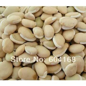 

SGS BAI BIAN DOU REN SEMEN LABLAB ALBUM WHITE HYACINTH BEAN 100 gram