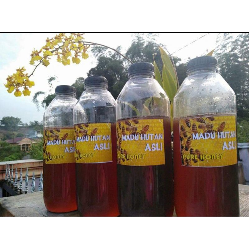 

Madu dari Toba 1kg