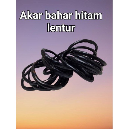 gelang akar bahar hitam lentur super