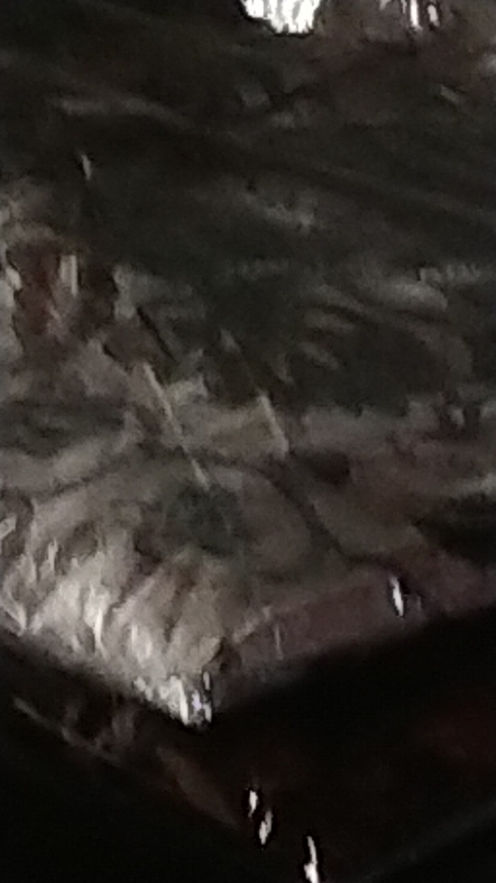 Batik Pria / Batik / Kemeja Lengan Panjang Size M L Xl Xxl Atasan Batik Seragam Terlaris