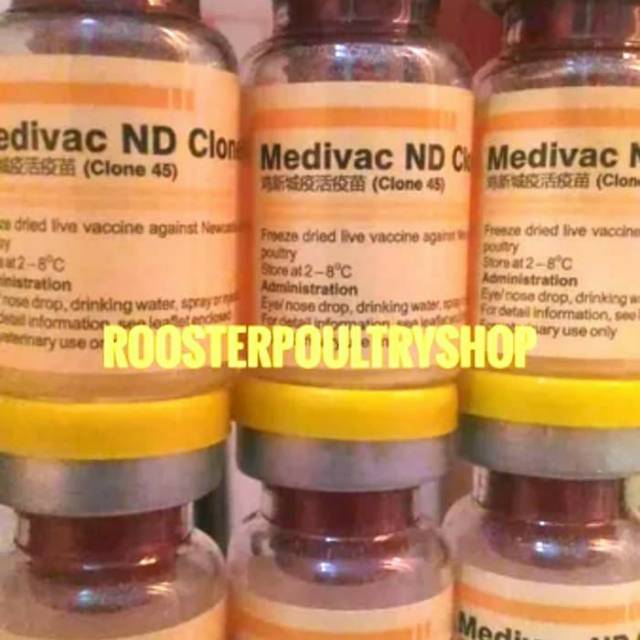 Vaksin Ayam ND CLONE KILL Untuk 500 AYAM