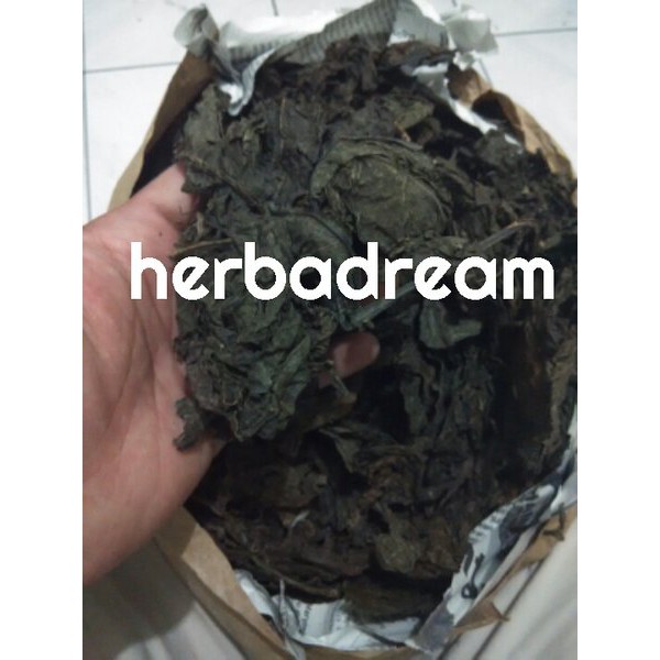 

250 GRAM DAUN UNGU WUNGU HANDELEUM AMBEYEN AMBEIEN PUTRI DEMUNG KAROTONG CARICATURE PLANT SIMPLISIA KERING DRIED