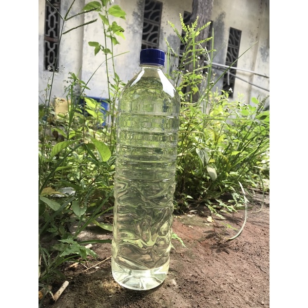 

minuman khas herbal ciu