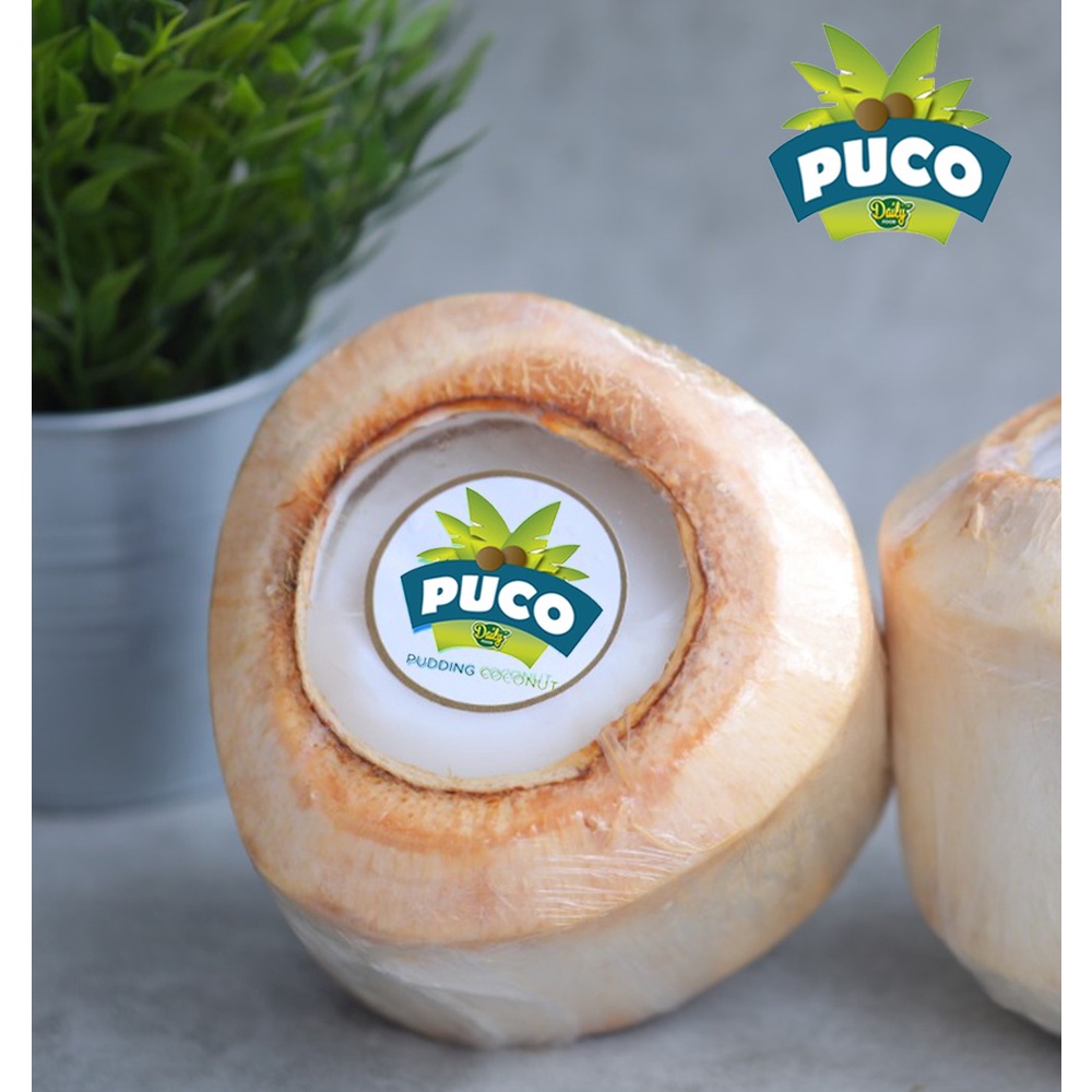 PUDING KELAPA ASLI PUCO PUDDING COCONUT DAILY FOOD