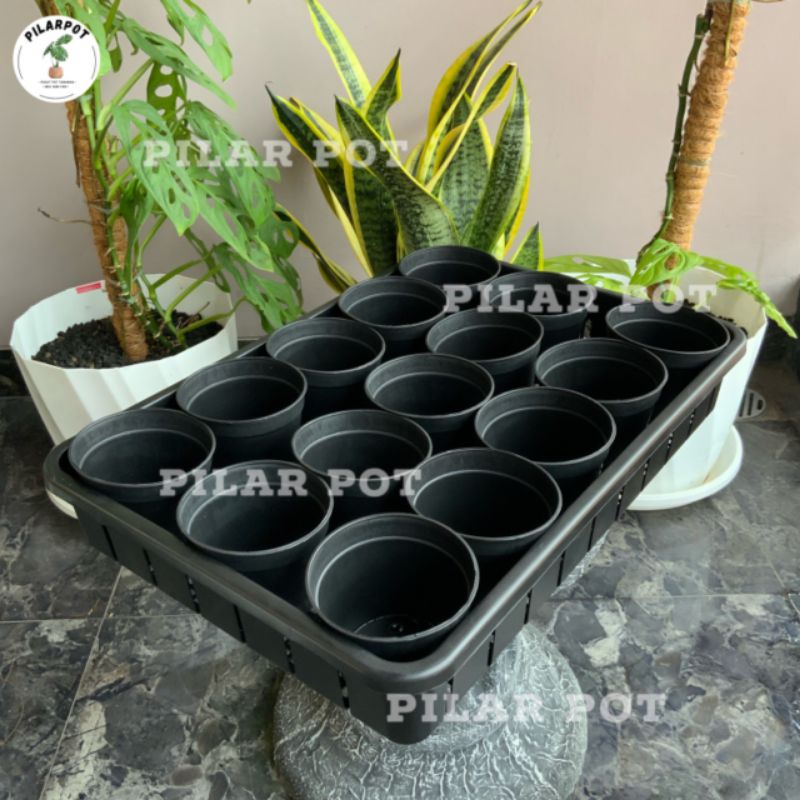 1 SET TRAY + 15 PCS POT HITAM 10CM | TRAY POT NKT 50CM | TRAY SEMAI BIBIT