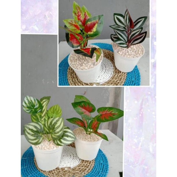 Bunga Aglonema / Bunga Plastik / Bunga Hias / Bunga Murah