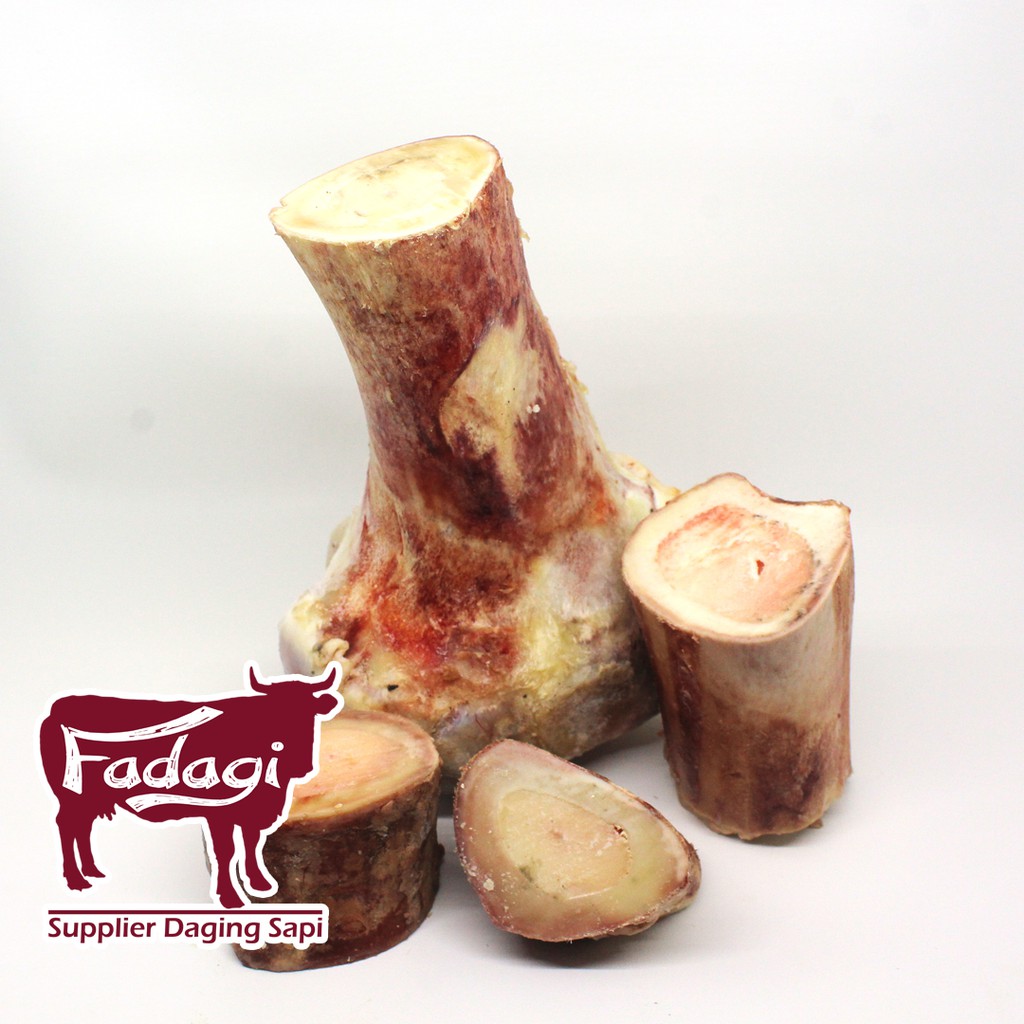 

Tulang Sumsum Sapi - 1Kg - Tulang Paha