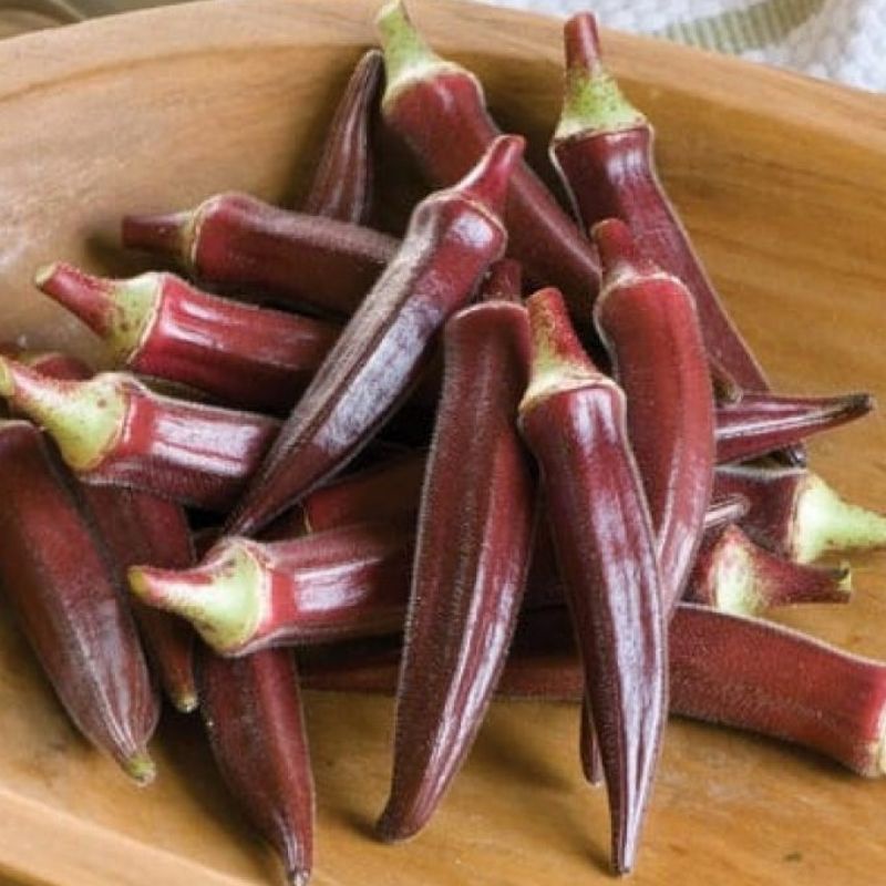 BENIH BIJI OKRA MERAH
