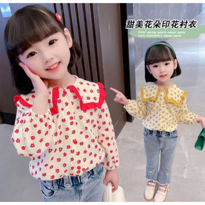 Setelan celana panjang anak perempuan import