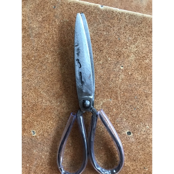 

Gunting kodok MASPUAN Ukuran Besar / gunting daging/ Ayam Lokal pride