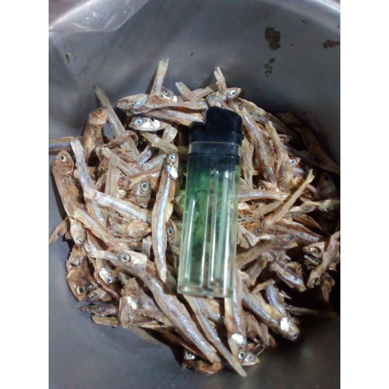 

Ikan Teri