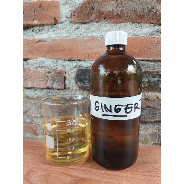 minyak atsiri jahe murni 500 ml