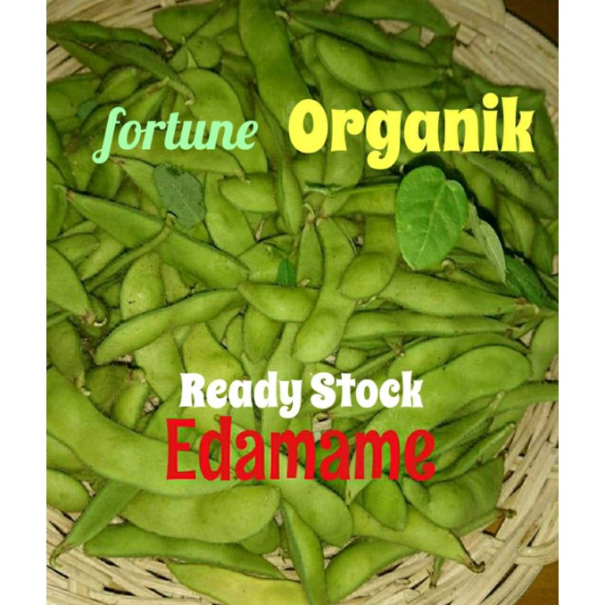 

KACANG EDAMAME ORGANIK Sayur Segar Bandung