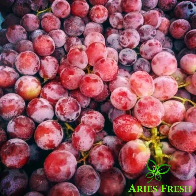 

Anggur RED GLOBE 1 kilo, GRAPE Import SEGAR