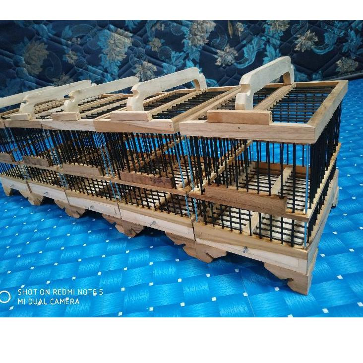 Terbaru.. Sangkar Burung Pleci Kayu Koper Mini Murah