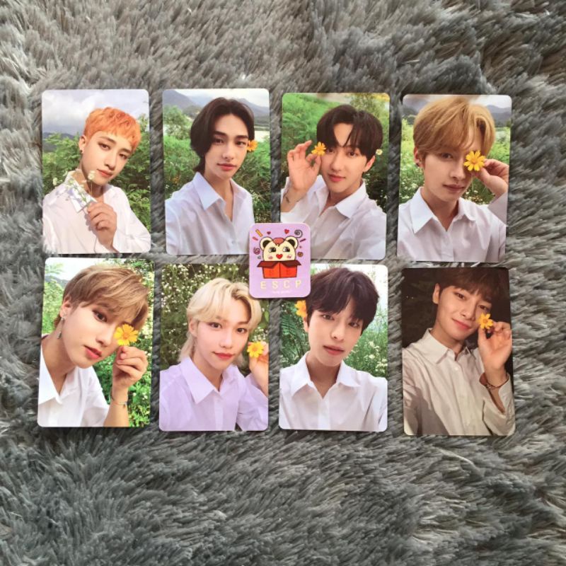Ready PC STRAY KIDS - NOEASY [LIMITED EDITION] | Photo card Straykids No easy Album