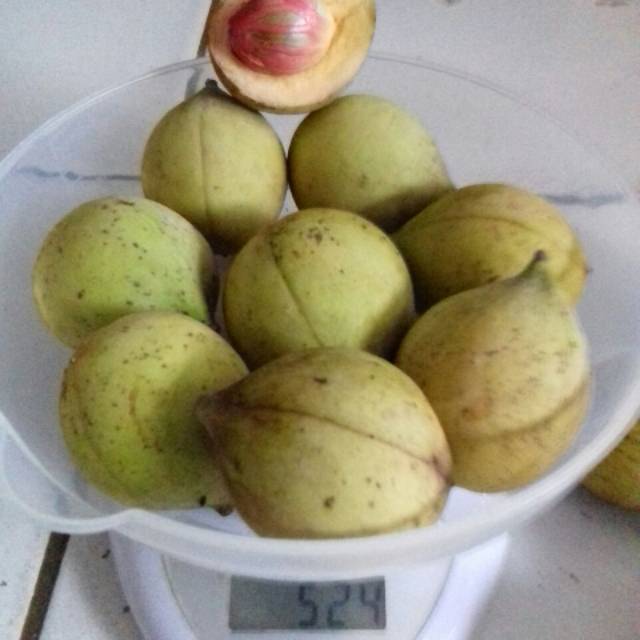 

Buah Pala segar 500grm