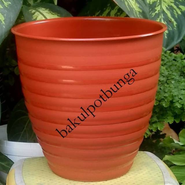  Pot Tawon Tirus  Tinggi Pirus 27 Coklat Shopee Indonesia