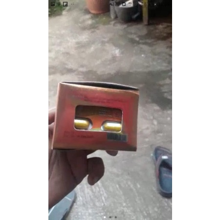 Tulustokoku Beruang Madu Kapsul Original