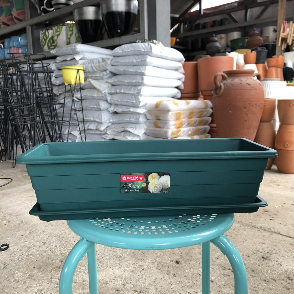 Pot Plastik Panjang Lion Star Trivetto ukuran M Tanaman Hijau