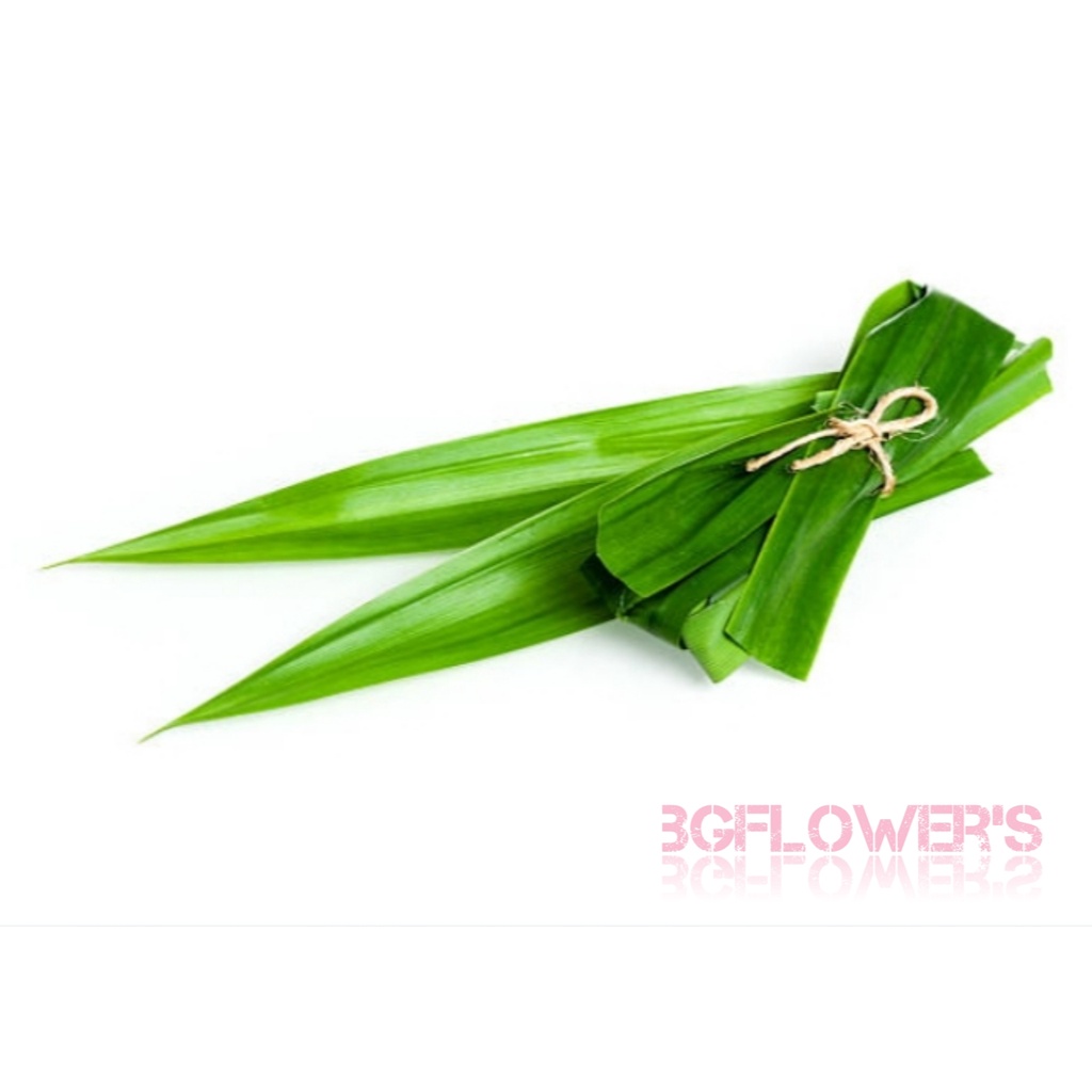 

Daun Pandan Segar Alamia