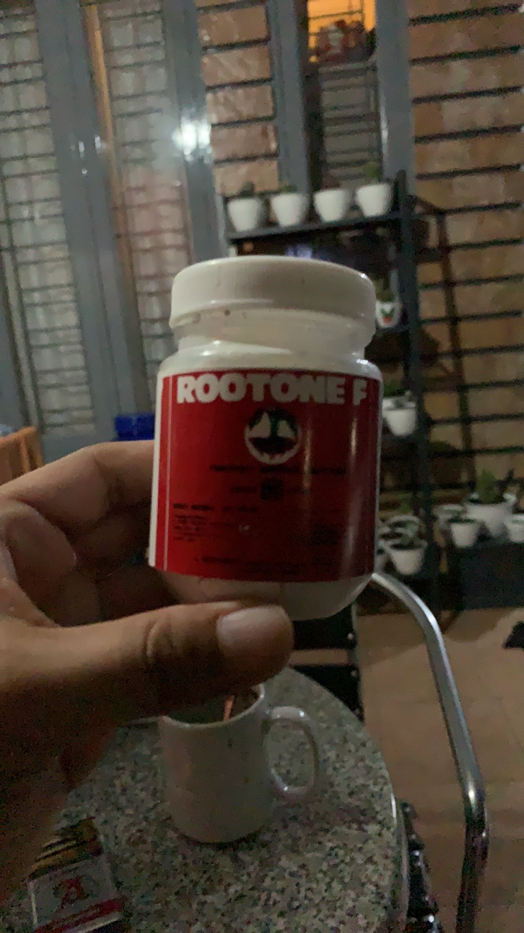 Zat Pengatur Tumbuh (zpt) Rootone F