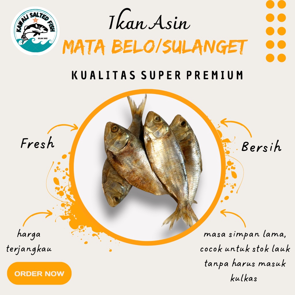 

Ikan Asin Belo 1 Kg